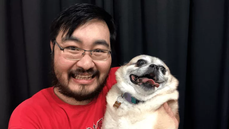 Identificação, Tags, chips… Como encontrar seu animal de estimação perdido (e se preparar antes disso)